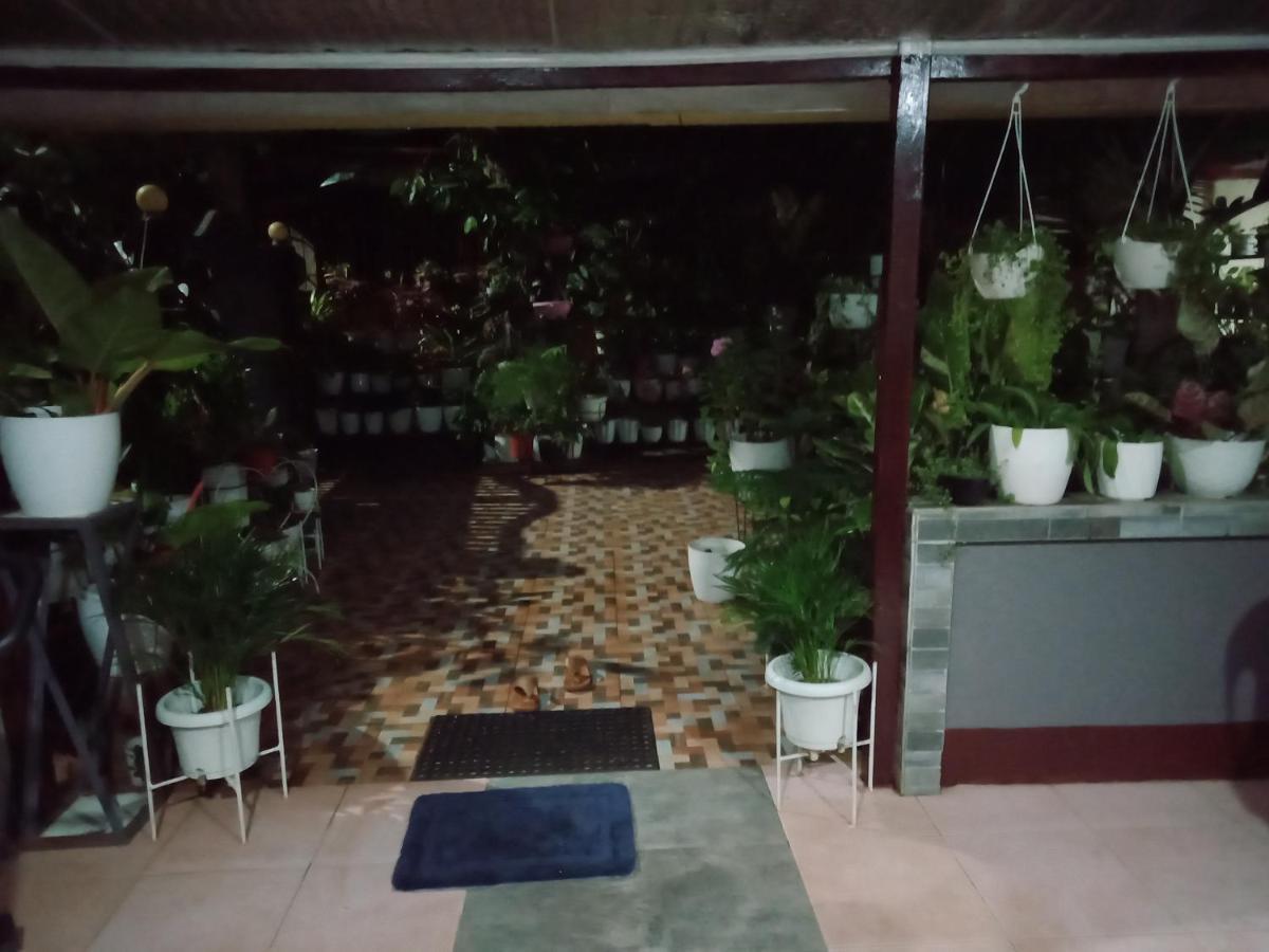 Dalindas Homestay Puerto Princesa Exterior foto