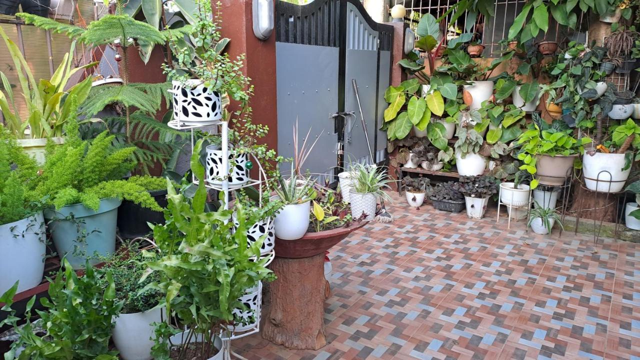 Dalindas Homestay Puerto Princesa Exterior foto